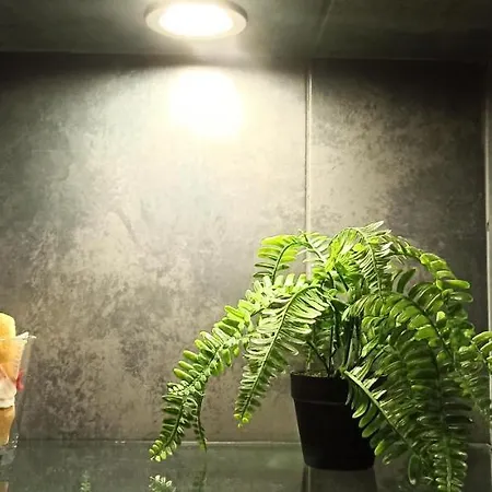 Apartman 29 Belgrád